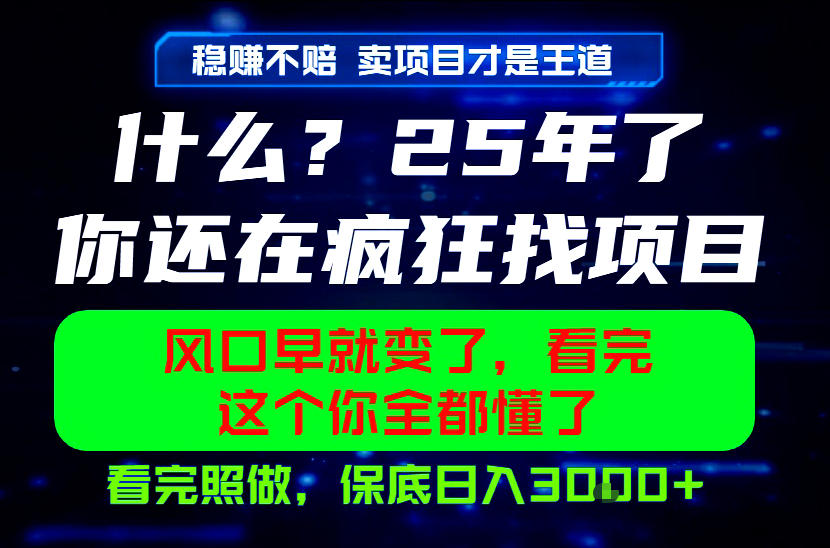 26年,请不要疯狂的找项目做了!卖项目才是真的稳賺不赔,看完照做,保底日入1k+【揭秘】-极光库