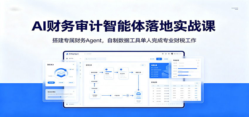 AI财务审计智能体落地实战课:搭建专属财务Agent,自制数据工具单人完成专业财税工作-极光库