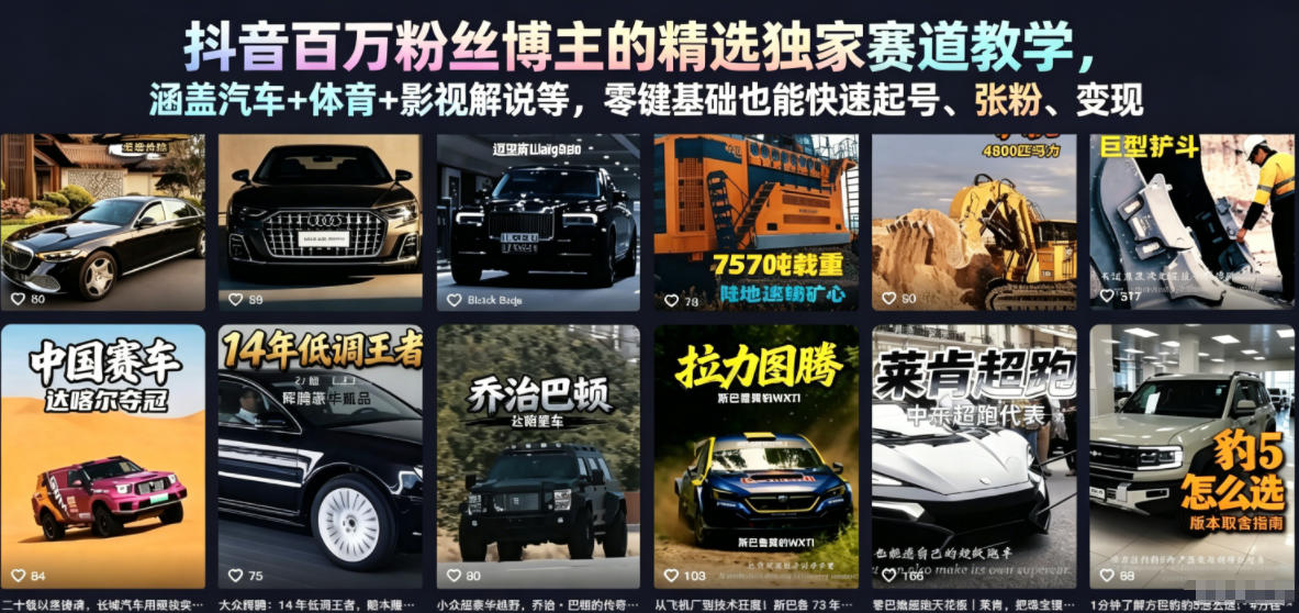 抖音百万粉丝博主的精选独家赛道教学，涵盖汽车+体育+影视解说等，零基础也能快速起号、涨粉、变现(更新0701)-极光库
