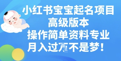 小红书宝宝起名项目高级版本,操作简单,资料专业,月入过W-极光库