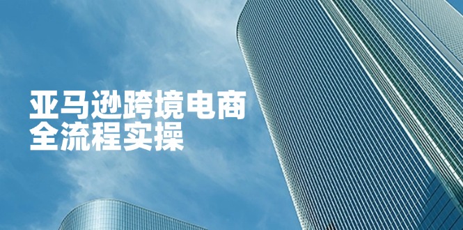 (14252期)亚马逊跨境电商全流程实操,教你从零开始,掌握店铺运营与广告技巧-极光库