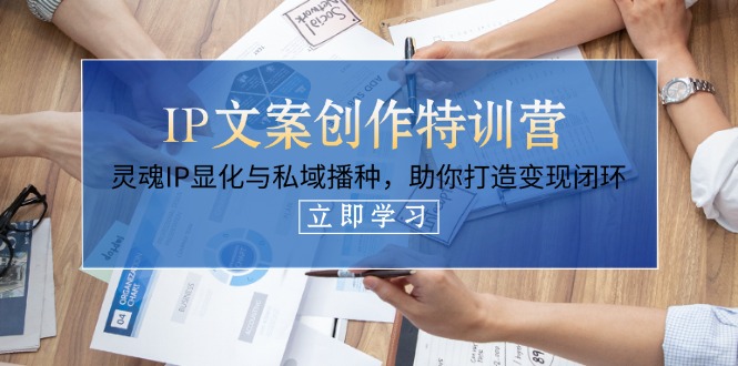 (14330期)IP文案创作特训营,灵魂IP显化与私域播种,助你打造变现闭环(14节课)-极光库
