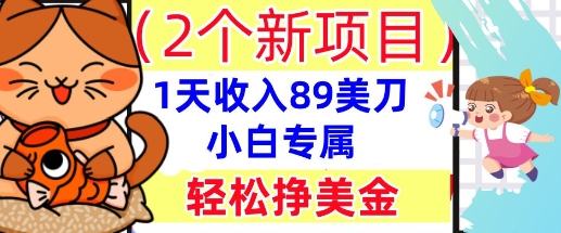 2个新项目,轻松挣美金, 1天收入89美刀,小白专属,干货分享-极光库