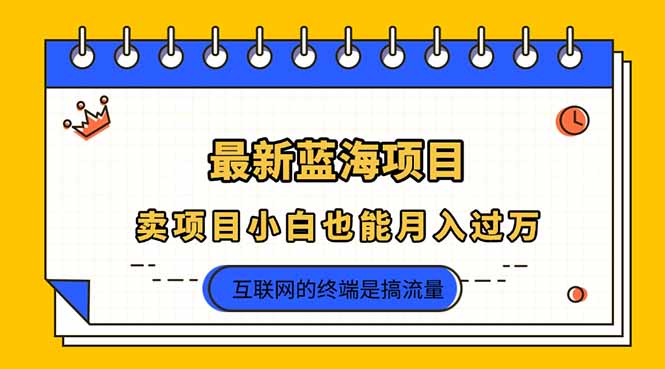 (14289期)2025年最新蓝海项目,卖项目小白也能月入过万-极光库
