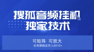 【搜狐音频挂G】独家技术,可矩阵可放大,红利期稳定月入8k【揭秘】-极光库