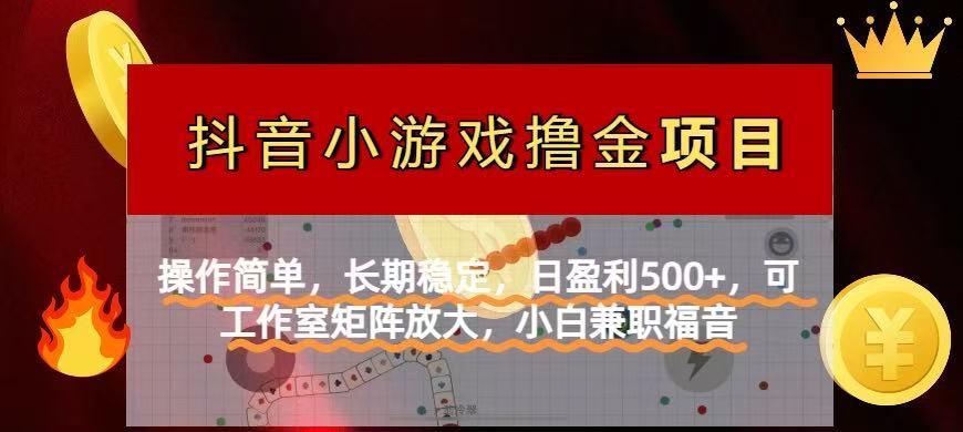 (14290期)【抖音小游戏发行人计划项目】操作简单,长期稳定,日盈利500+,可工作...-极光库