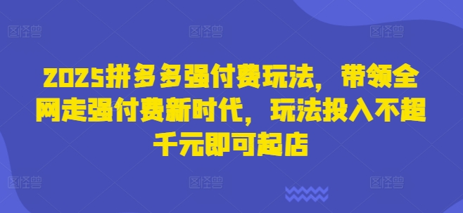 2025拼多多强付费玩法,带领全网走强付费新时代,玩法投入不超千元即可起店-极光库