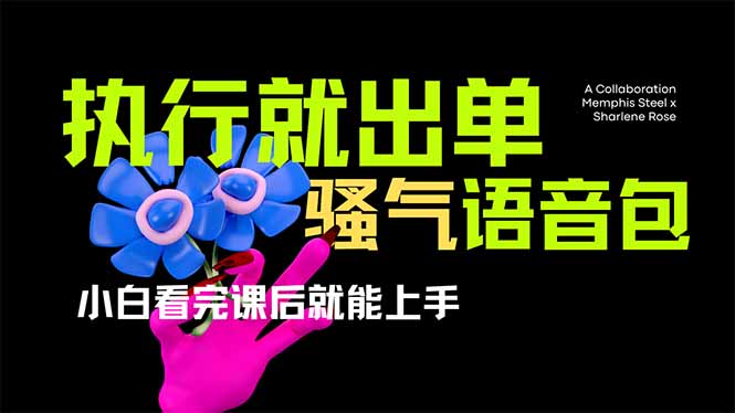 (14170期)爆火全网的开车导航骚气语音包,只要执行就出单,小白看完课程就能实操...-极光库