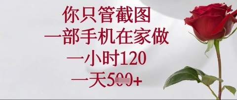 你只管截图,一部手机在家操作,一小时120.一天5张【揭秘】-极光库